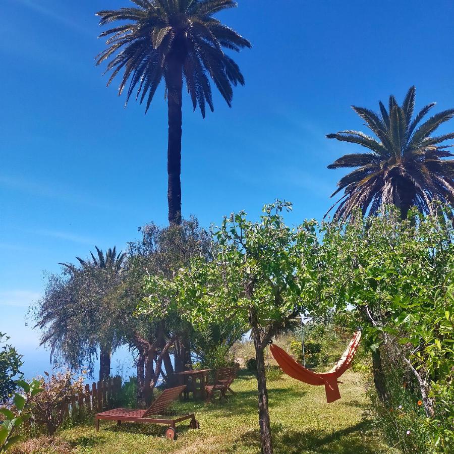 Vistas Del Sur Villa Alajero Bagian luar foto